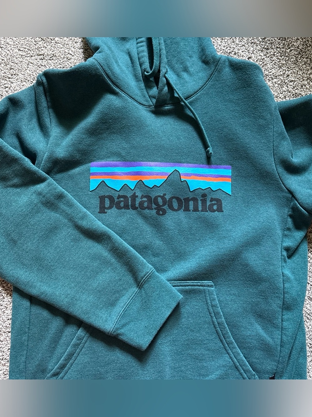 Patagonia Hoodie Pullover Sweatshirt Adult Size XS‎ Borealis Green